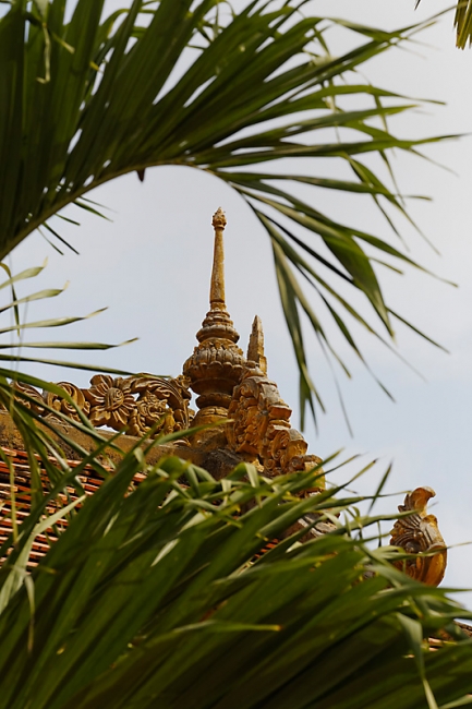 Phnom Penh-Pagode d'argent-064